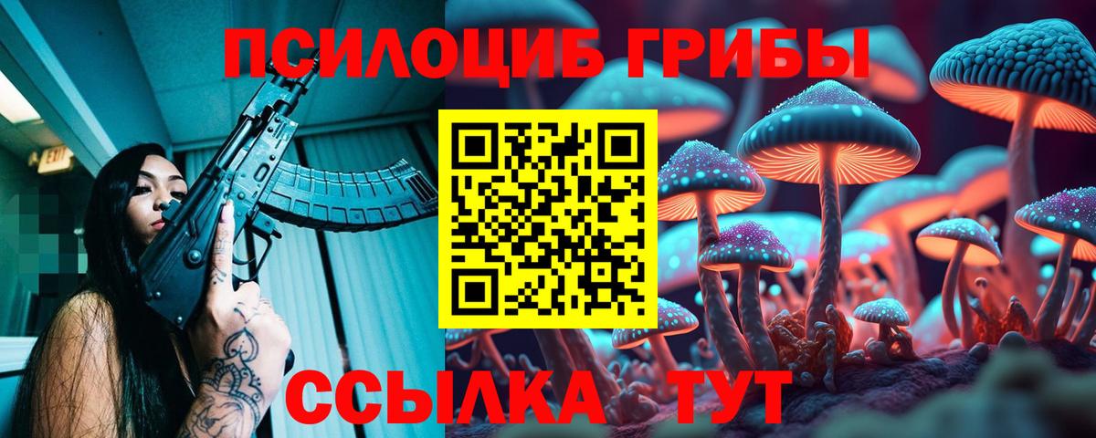 Сызрань  хочу наркоту  Галлюциногенные грибы Cubensis  Вход с VPN  Галлюциногенные грибы GOLDEN TEACHER 