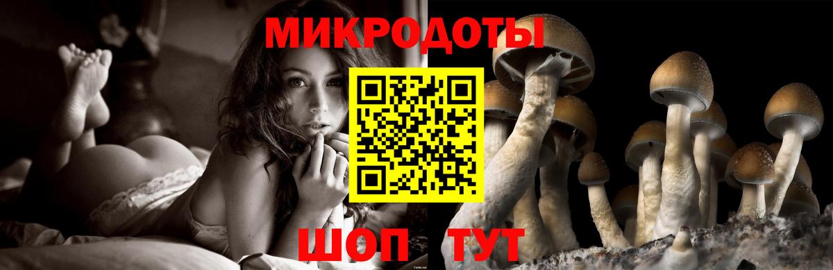 Псилоцибиновые грибы мухоморы Сызрань